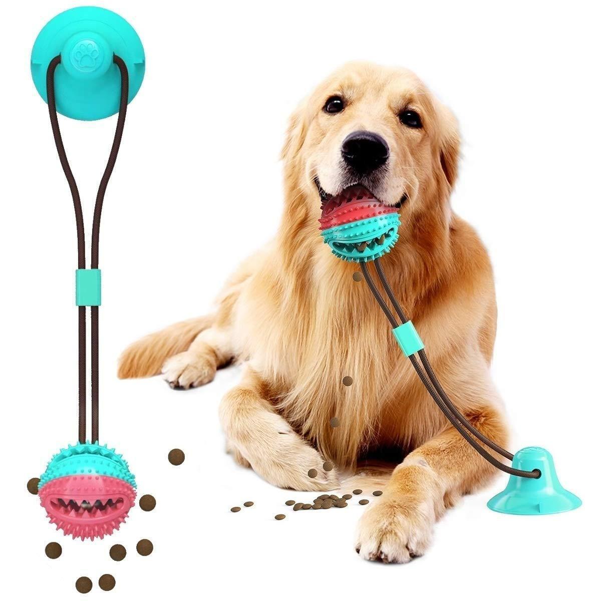 Big Promotion Today!Upgrade Pet Self-playing rubber ball