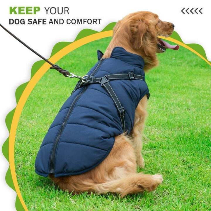 Cosy Waterproof Dog Jacket