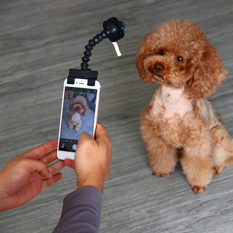 Pet Selfie Stick Photography Tools