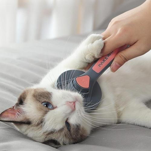 Hair Removal Brush For Dogs & Cats