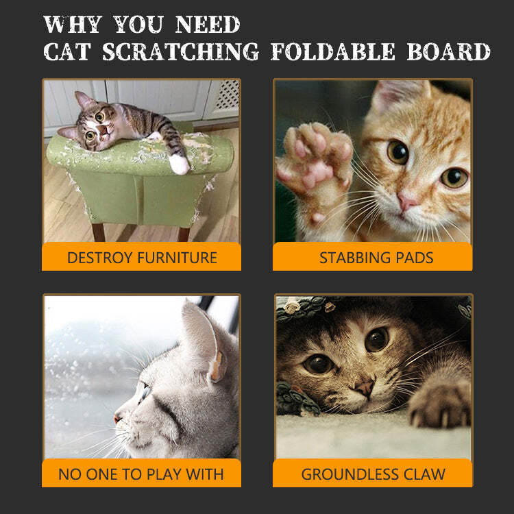 🔥Hot Sale🔥Cat Scratching Foldable Board