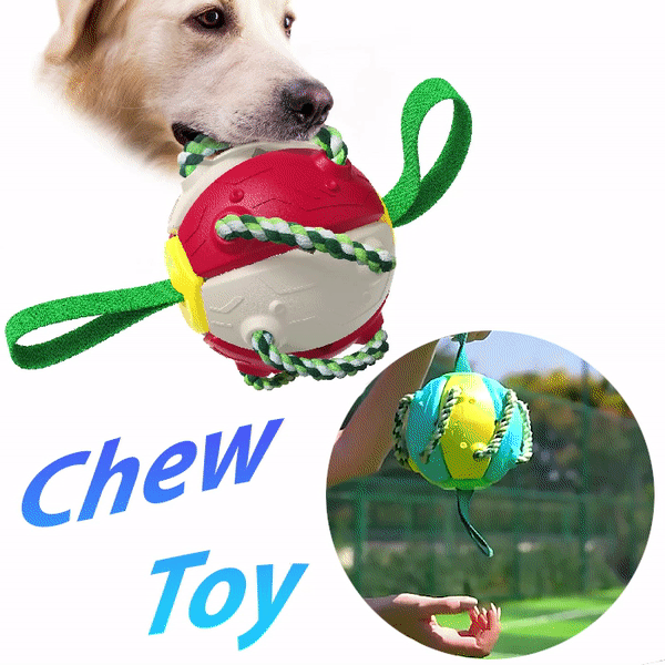Chew Toy – Dog Toys Soccer Ball
