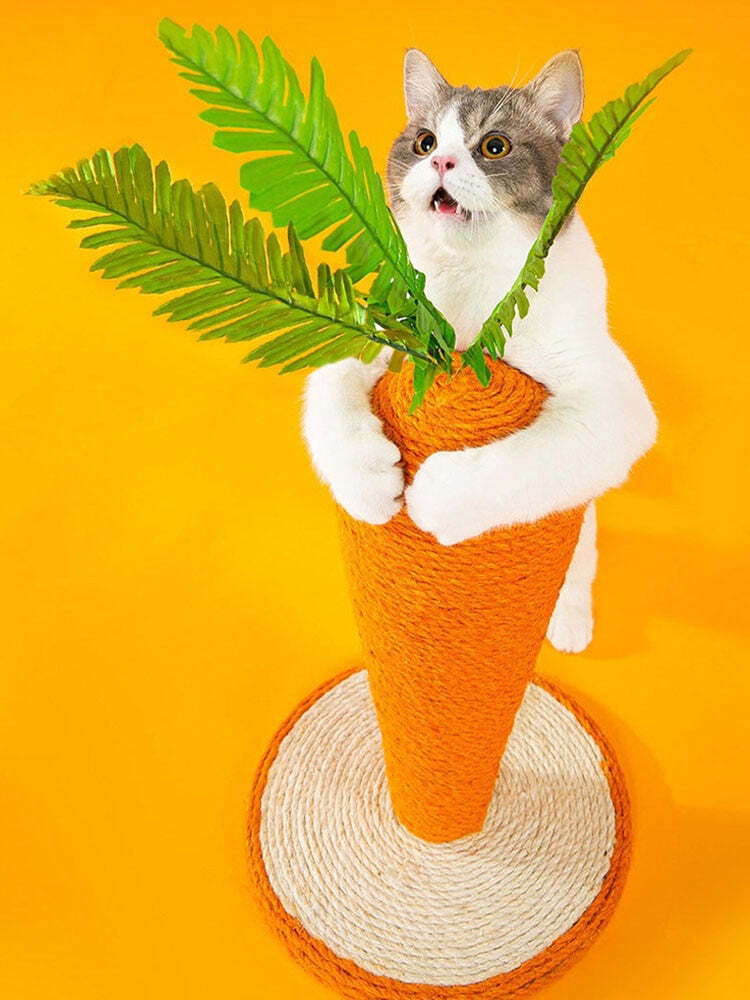 Carrot Cat Scratcher-Easter Hot Sale