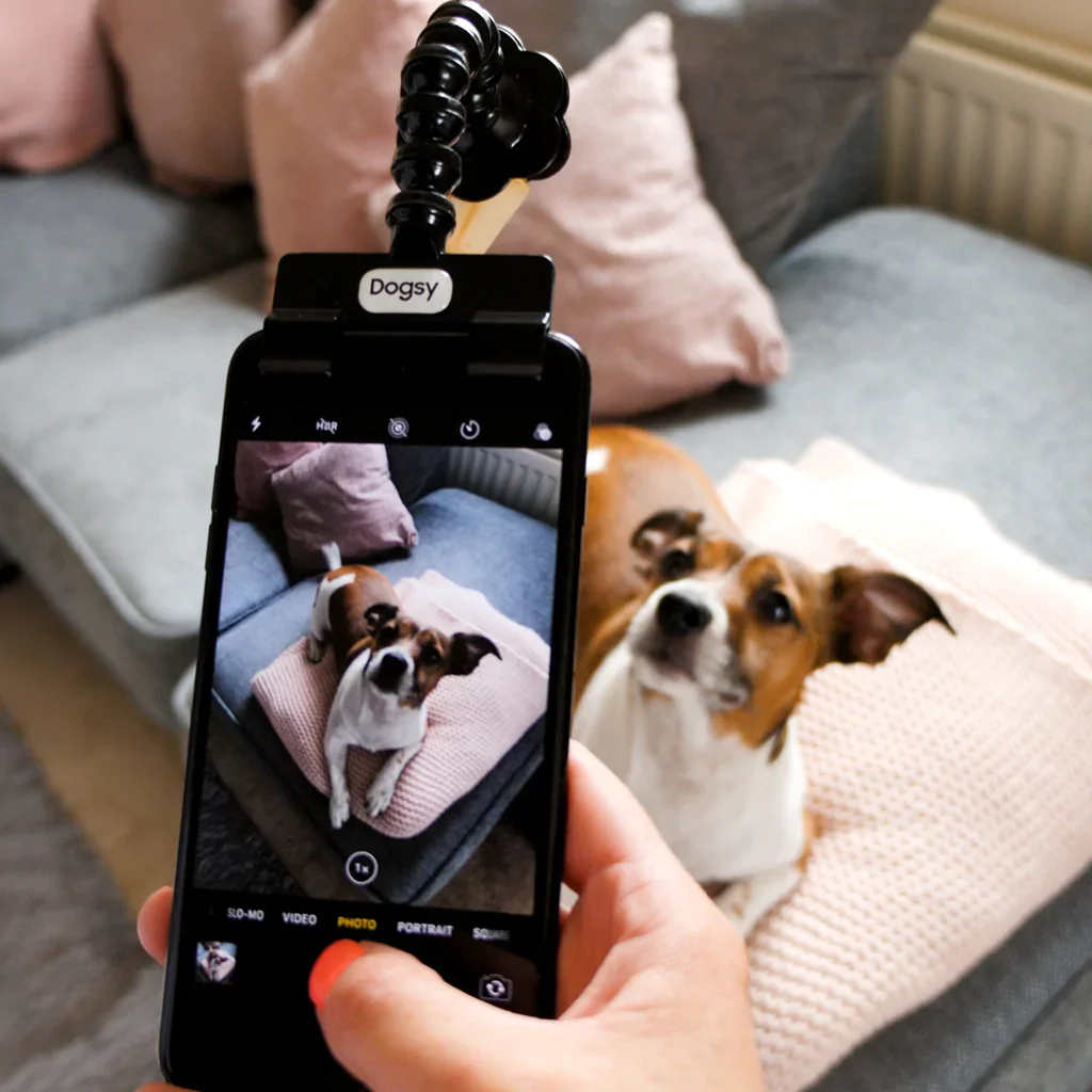 Pet Selfie Stick Photography Tools