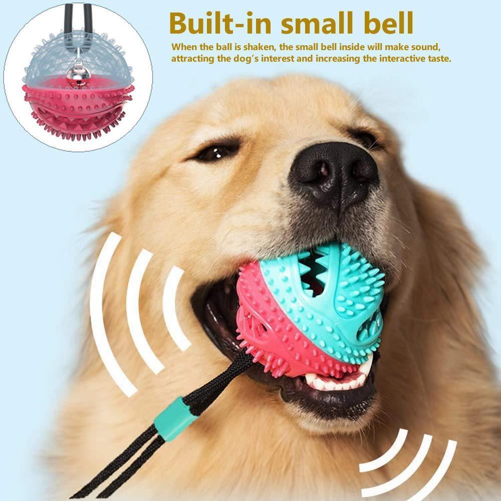 Big Promotion Today!Upgrade Pet Self-playing rubber ball