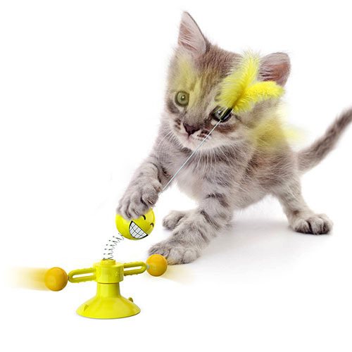 Kitten interactive swing toy🐾